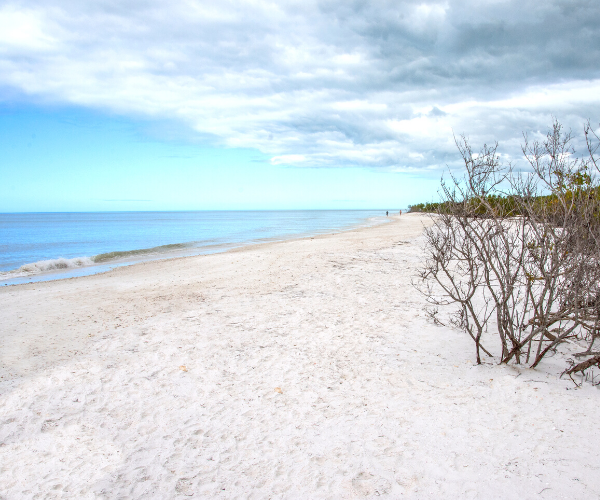 White sandy beach leading to water on Honeymoon Island
