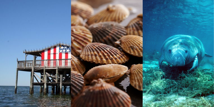 Boating Activities Florida