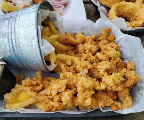Sea Hags Fried Calamari