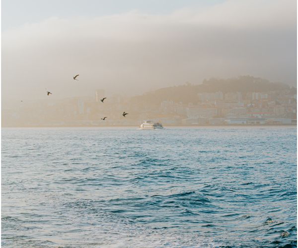 when can navigation rules be overlooked? can-navigation-rules
