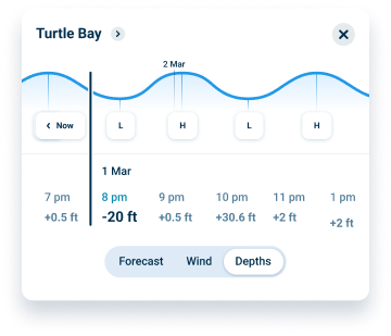 Water Level (1)