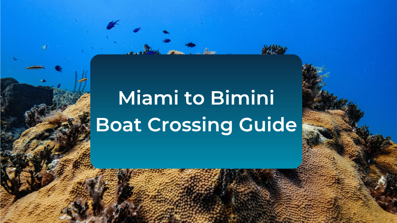 miami-to-bimini-boat-crossing-guide